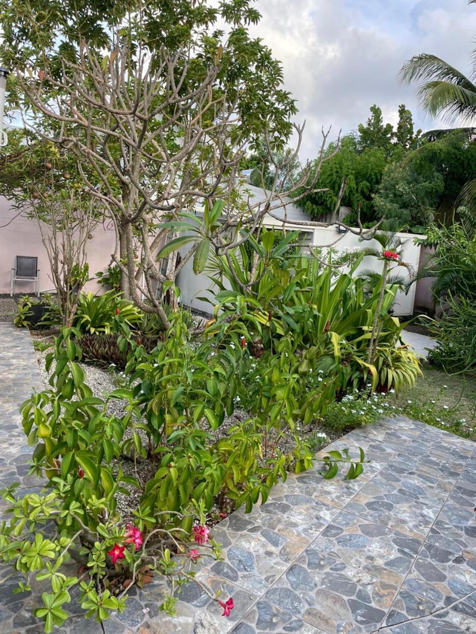 Villa Almeida A 500M De La Plage Courcelles Экстерьер фото